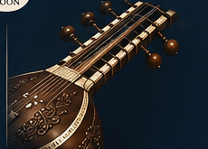 Sitar, an Indian classical instrument